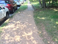 Worn path through grass near curb with parked cars.