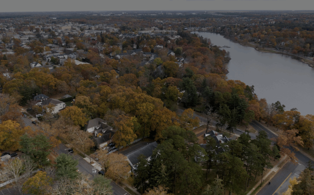 Foliage from aerial view.